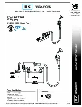 bk-resources-bkf-8smus-g-pre-rinse-faucet-assembly-specsheet-250806ilafgd.pdf